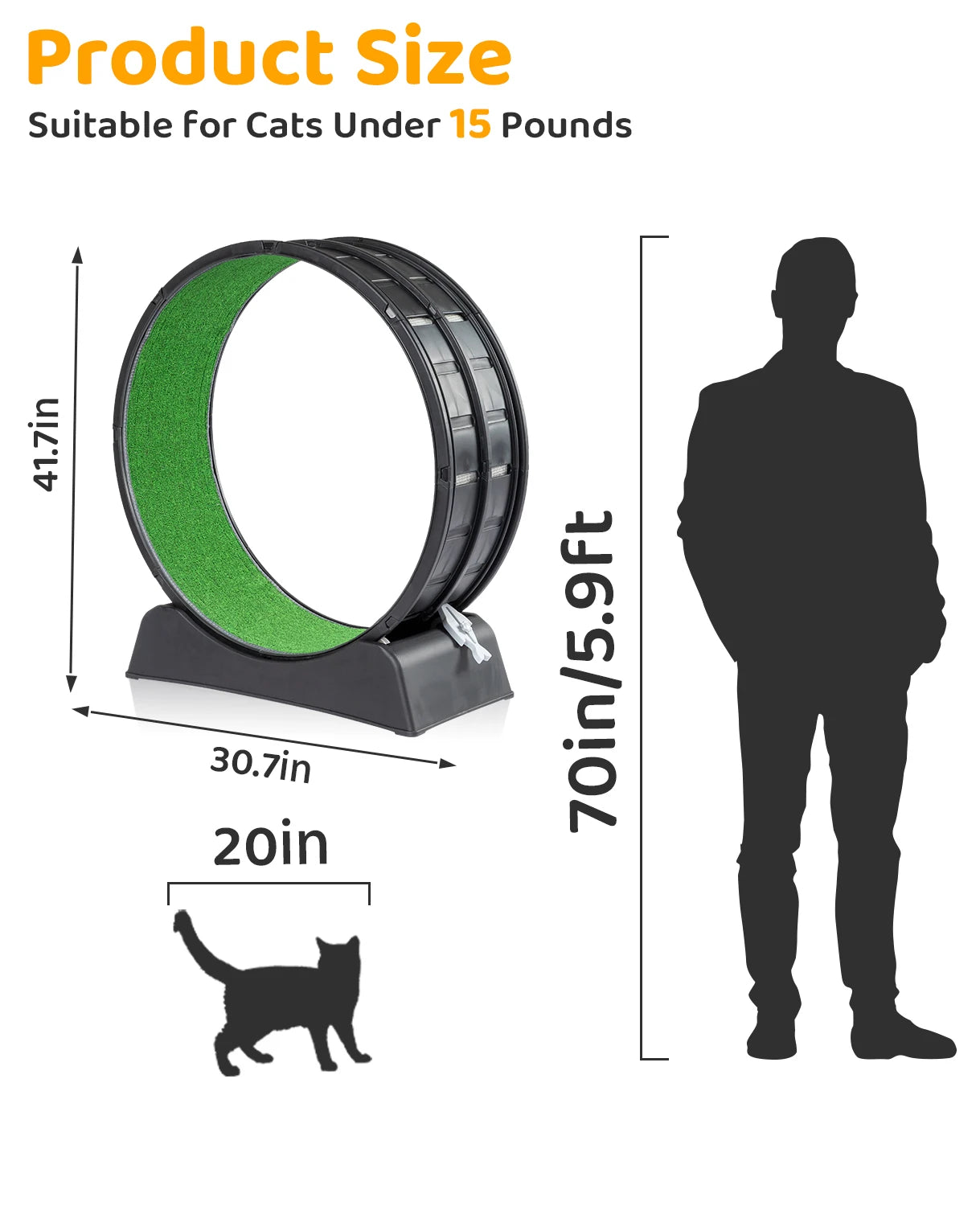 Cat Exercise Wheel.