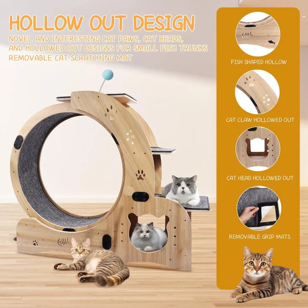 Upgraded Cat Wheel.