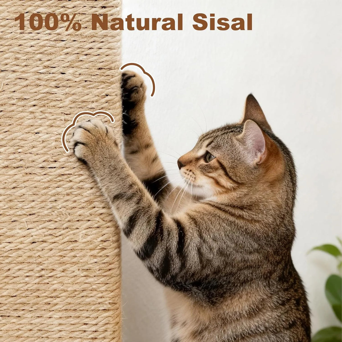Heavy Duty Cat Scratcher.