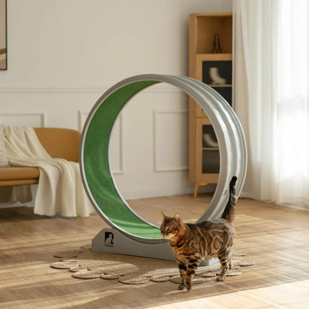 Cat Exercise Wheel.