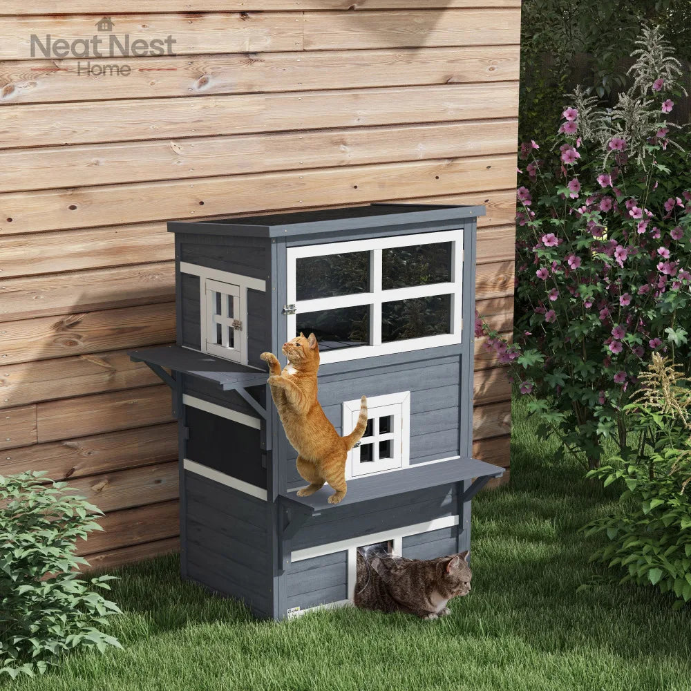 Cat House.