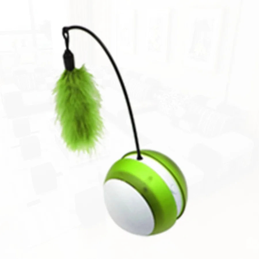Rolling Pet Toys.