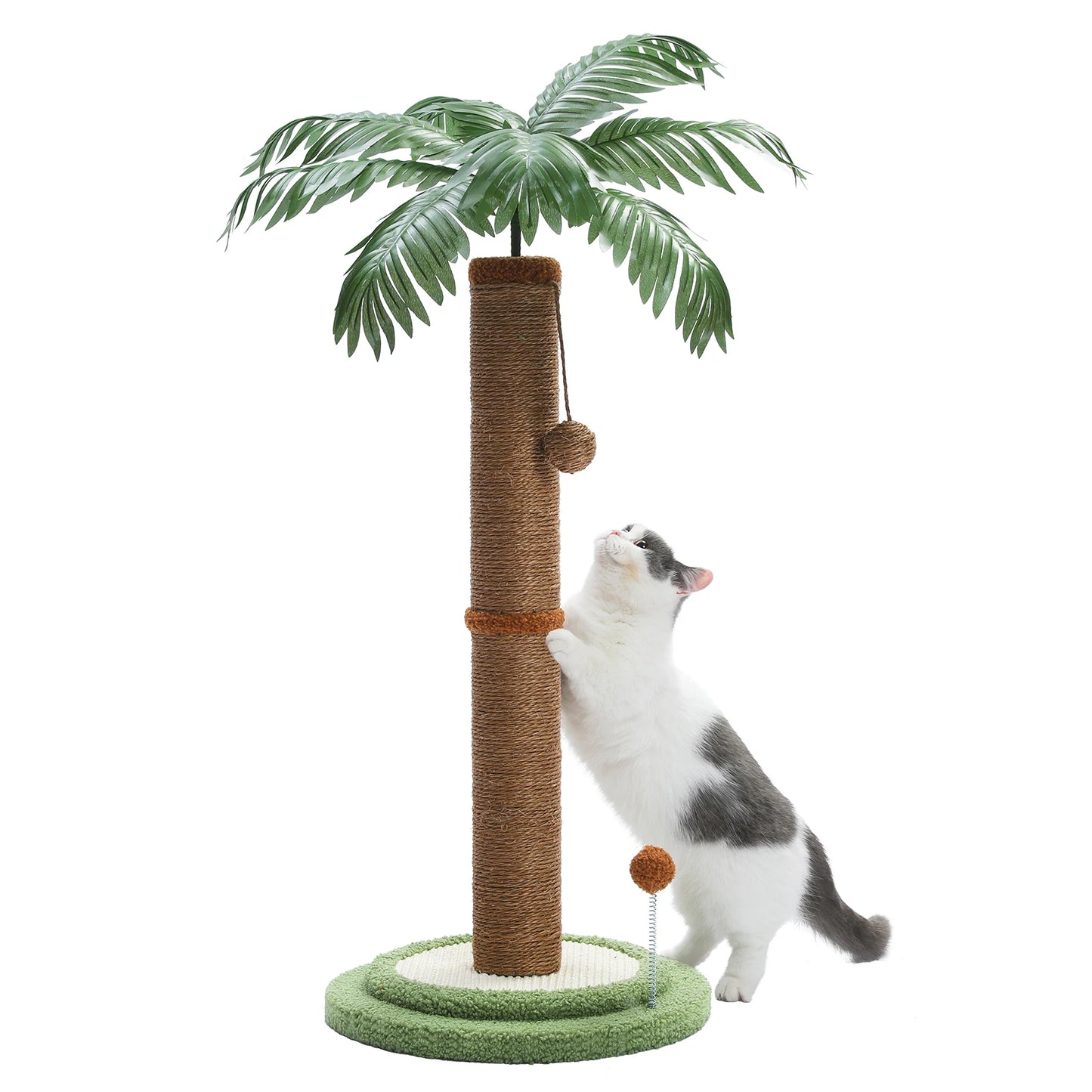 Pom Cat Scratching Post.