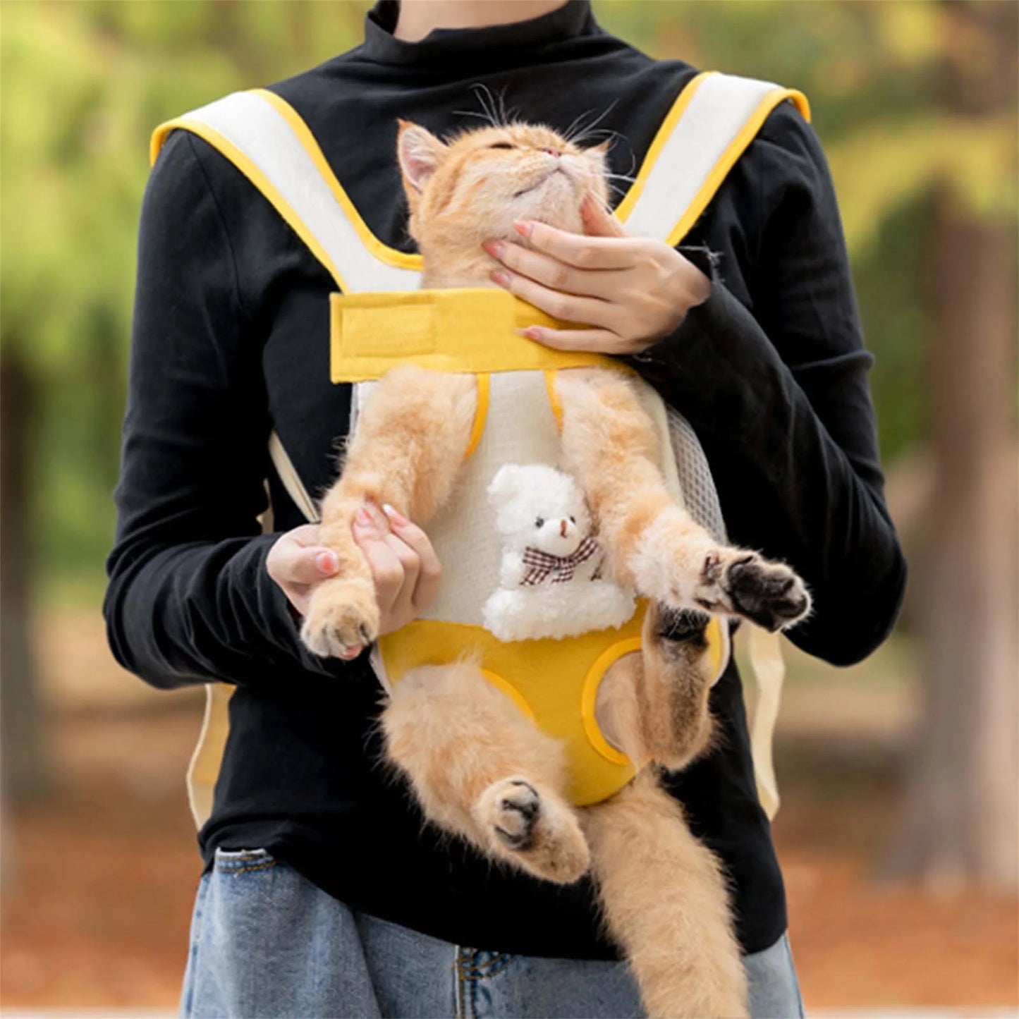 Portable Cat Carrier.