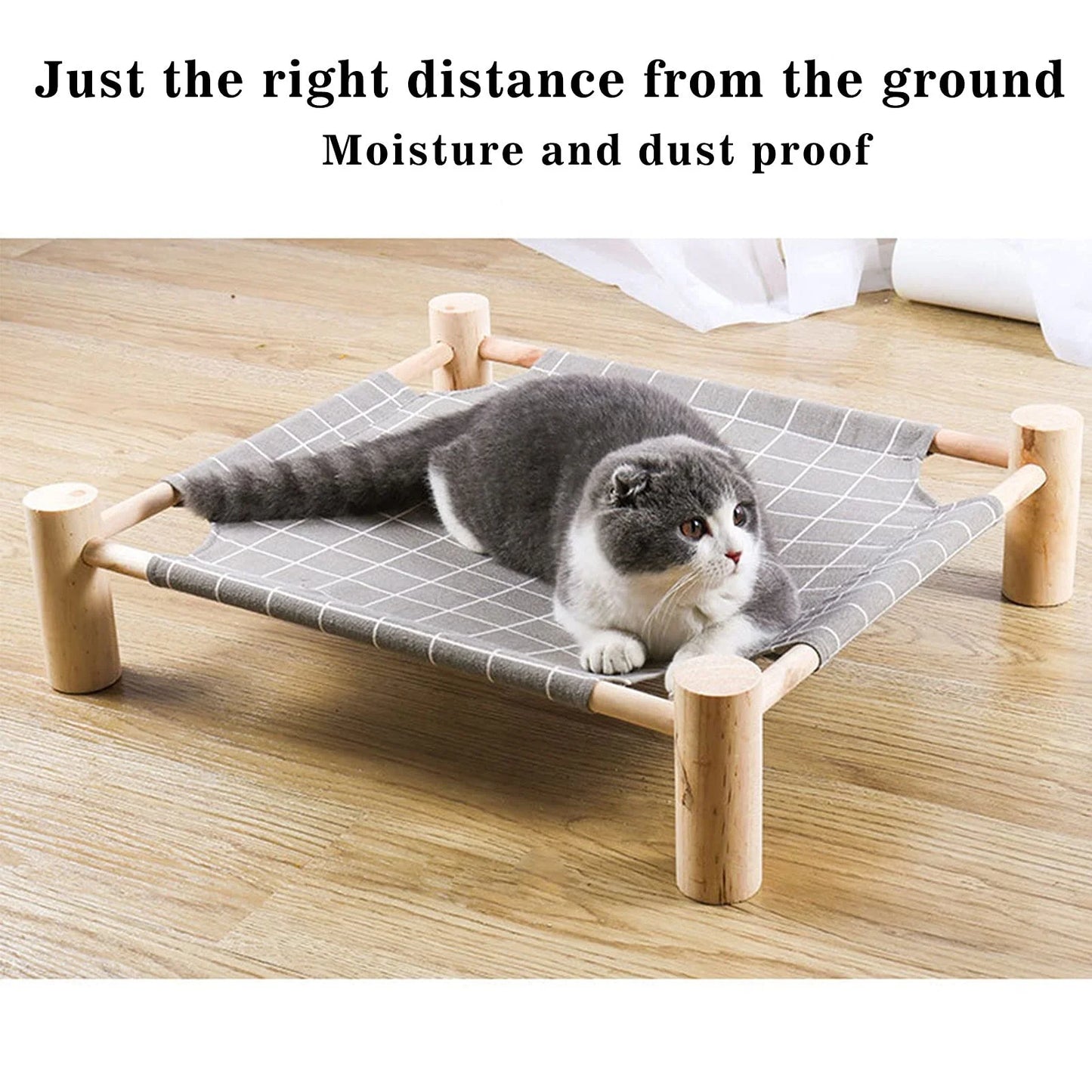 1 Raised Cat Hammock Bed.