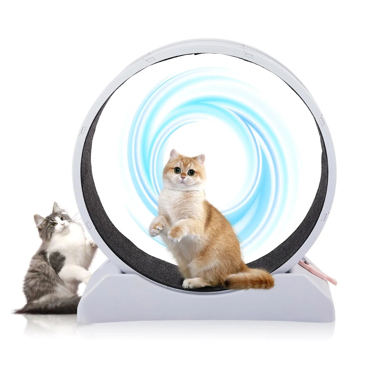 Cat Exercise Wheel.