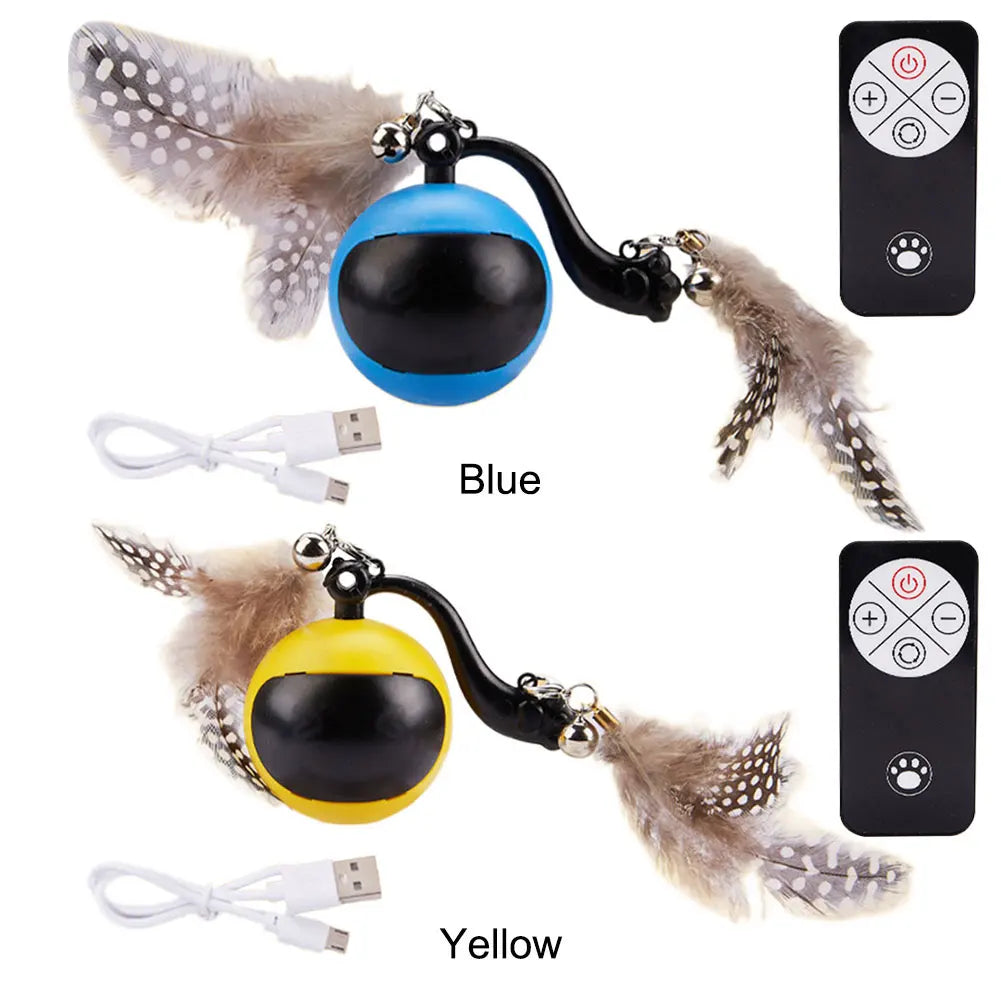 Cat Interactive Ball.