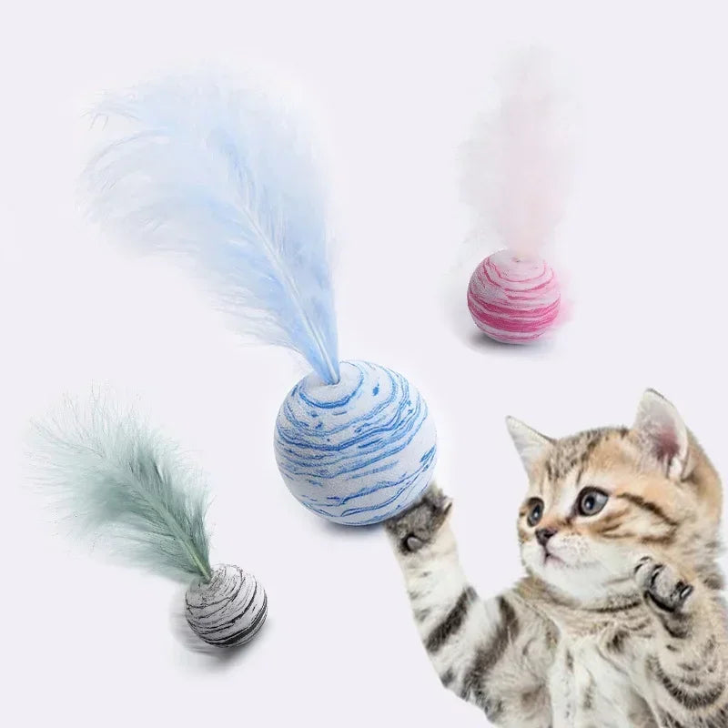 Cat Toy Ball Feather.