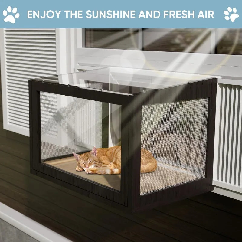 Cat Window Box.