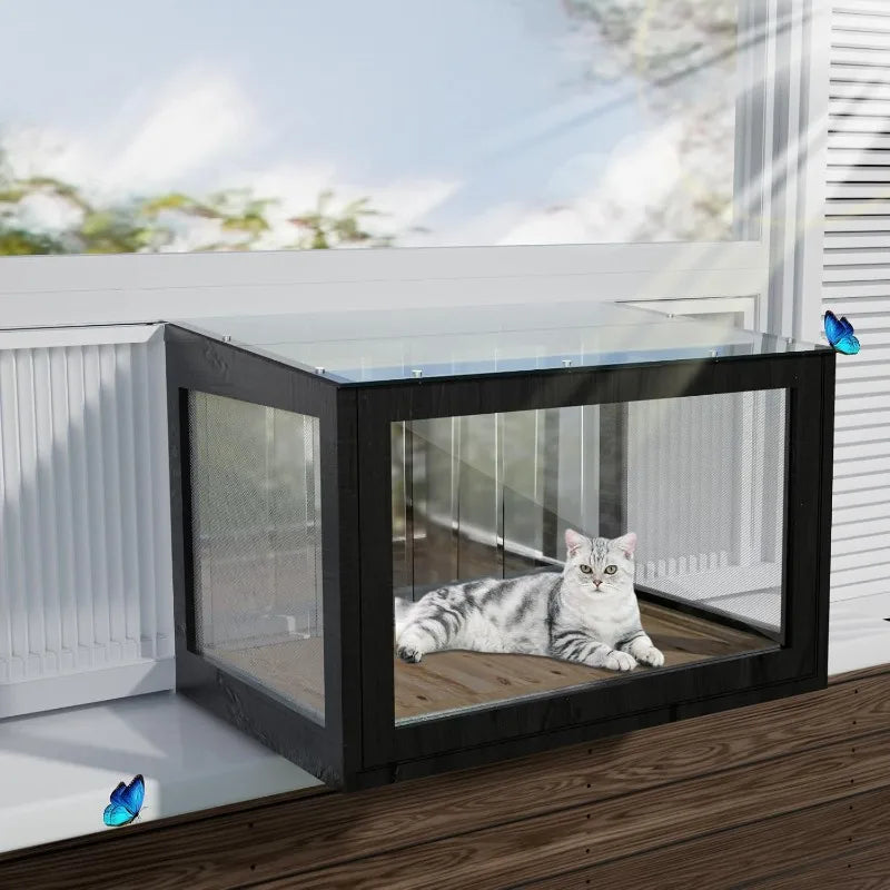 Cat Window Box.