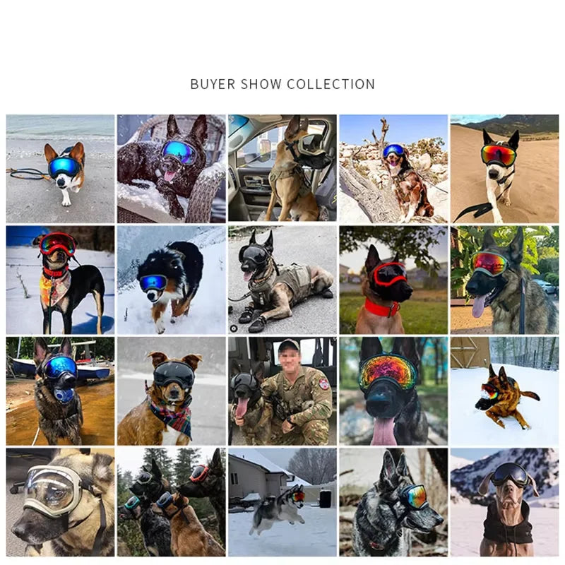 Dog Goggles.