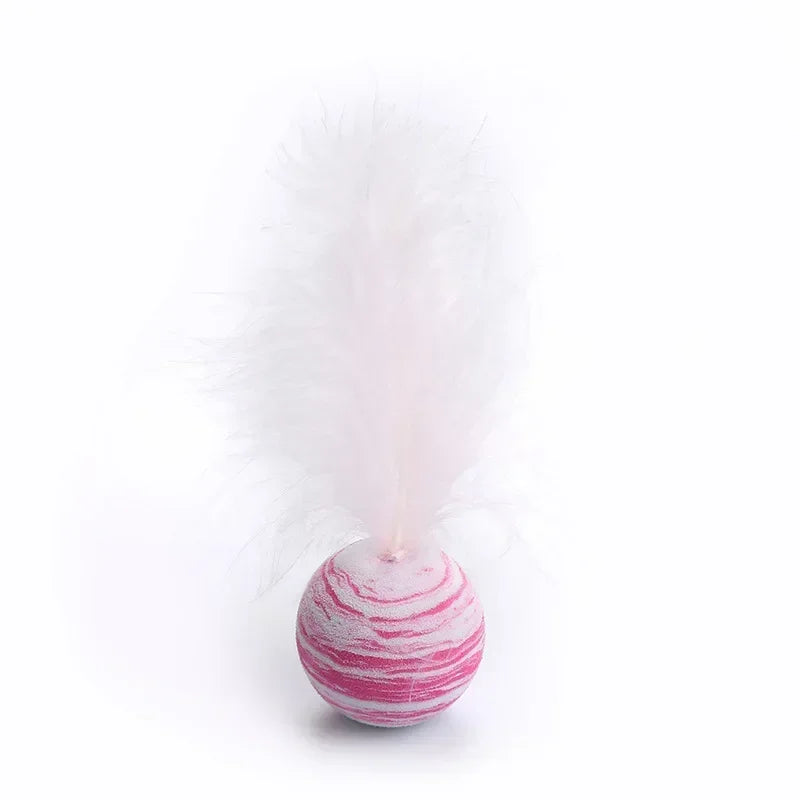 Cat Toy Ball Feather.