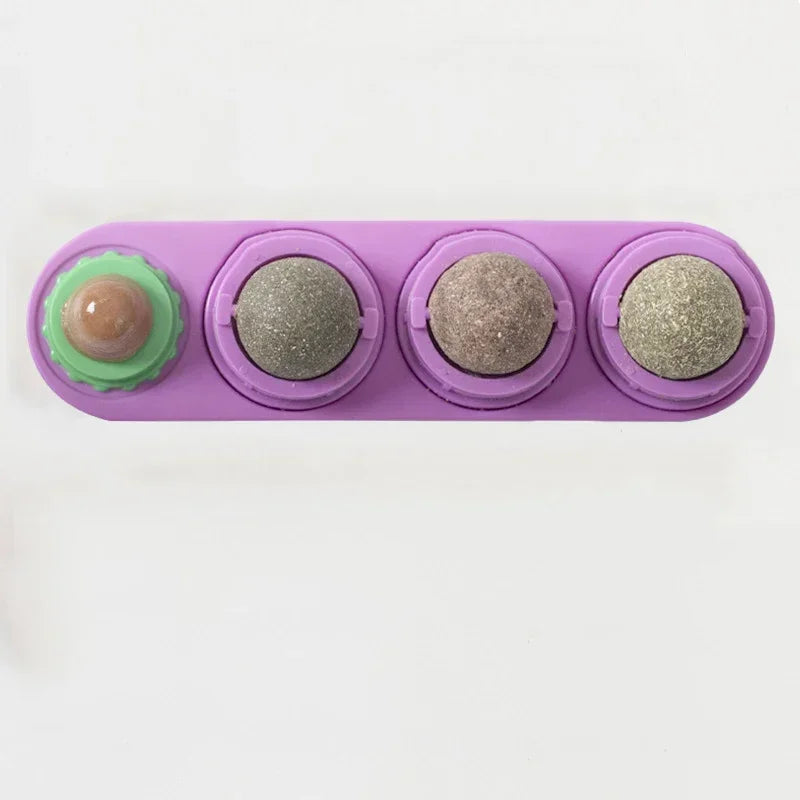 Catnip Toys.