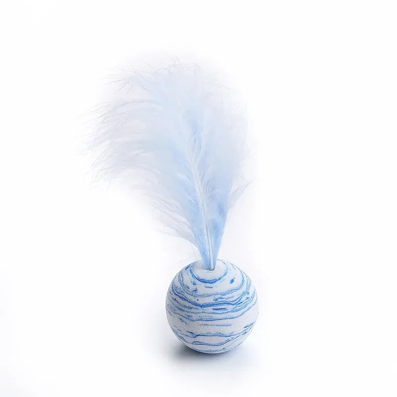 Cat Toy Ball Feather.