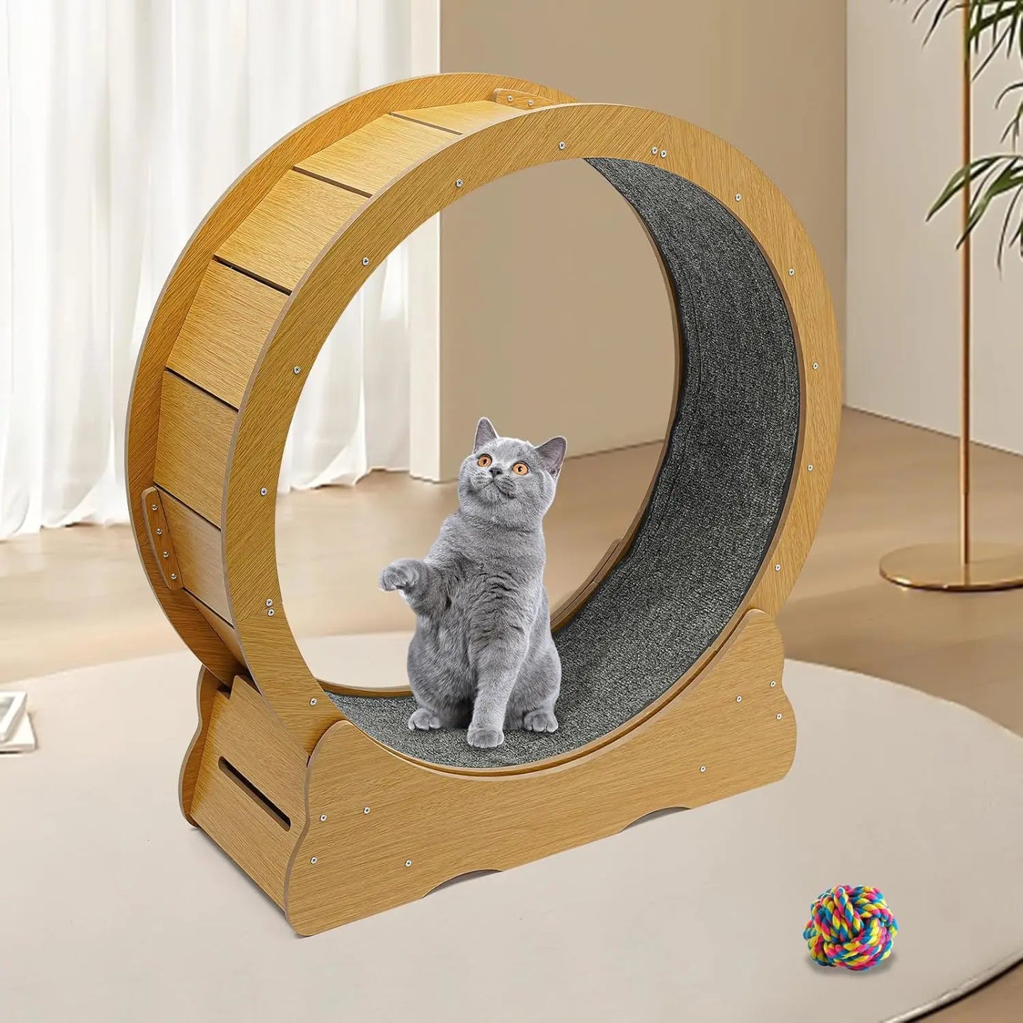 Cat Exercise Wheel.