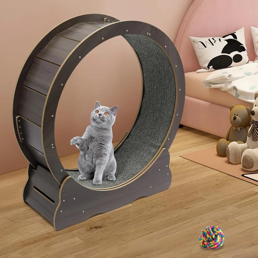 Cat Exercise Wheel.