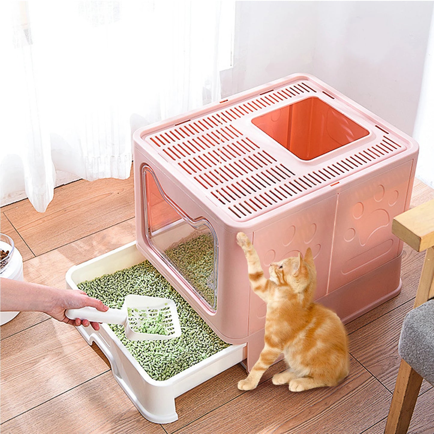 Bingopaw Cat Litter Box.