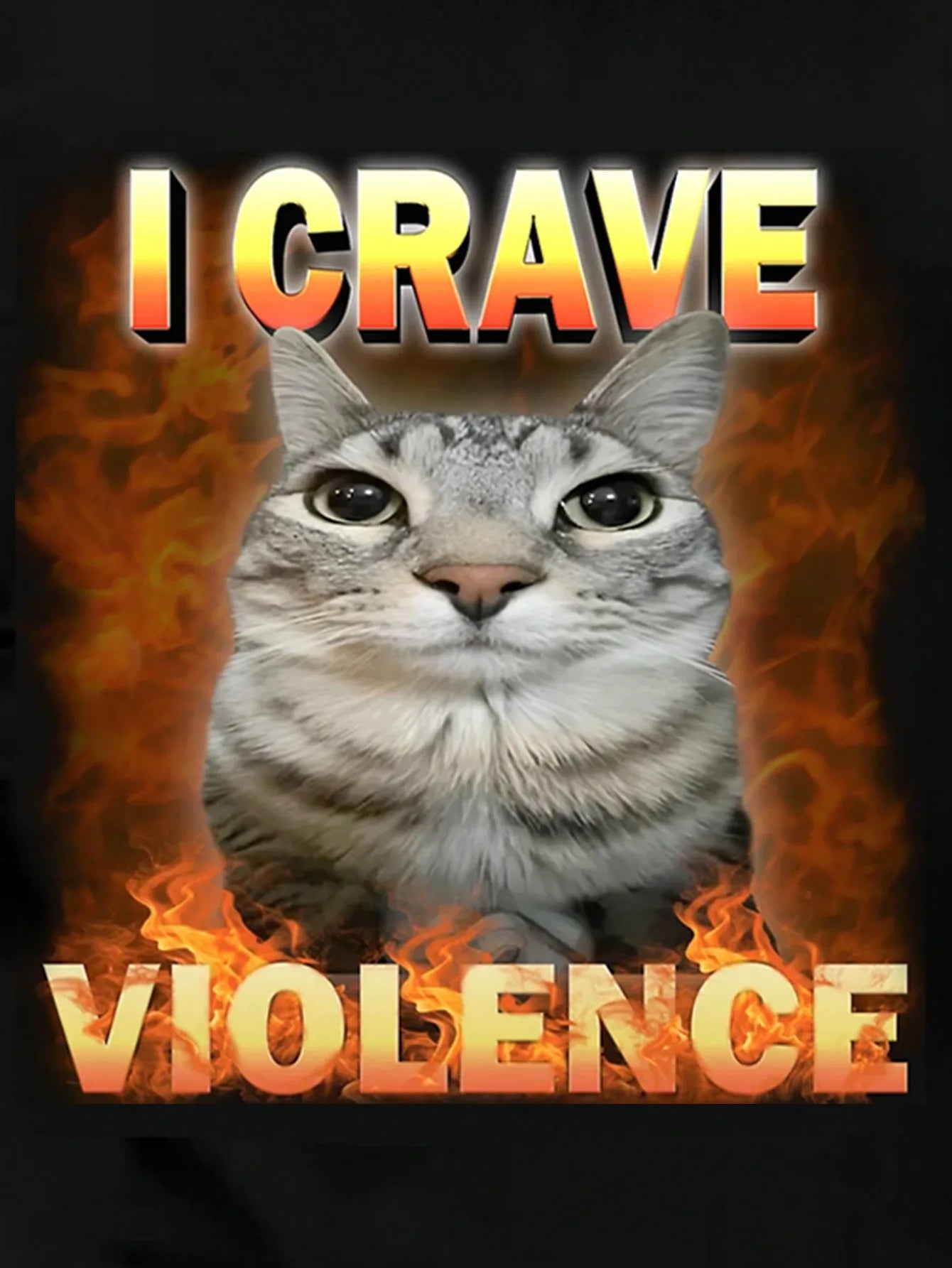 "I Crave Violence" Cat Tee Shirt.