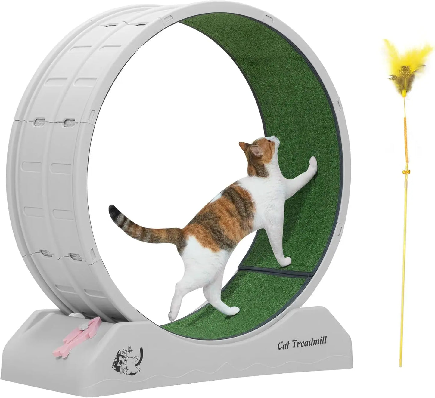 Cat Exercise Wheel.