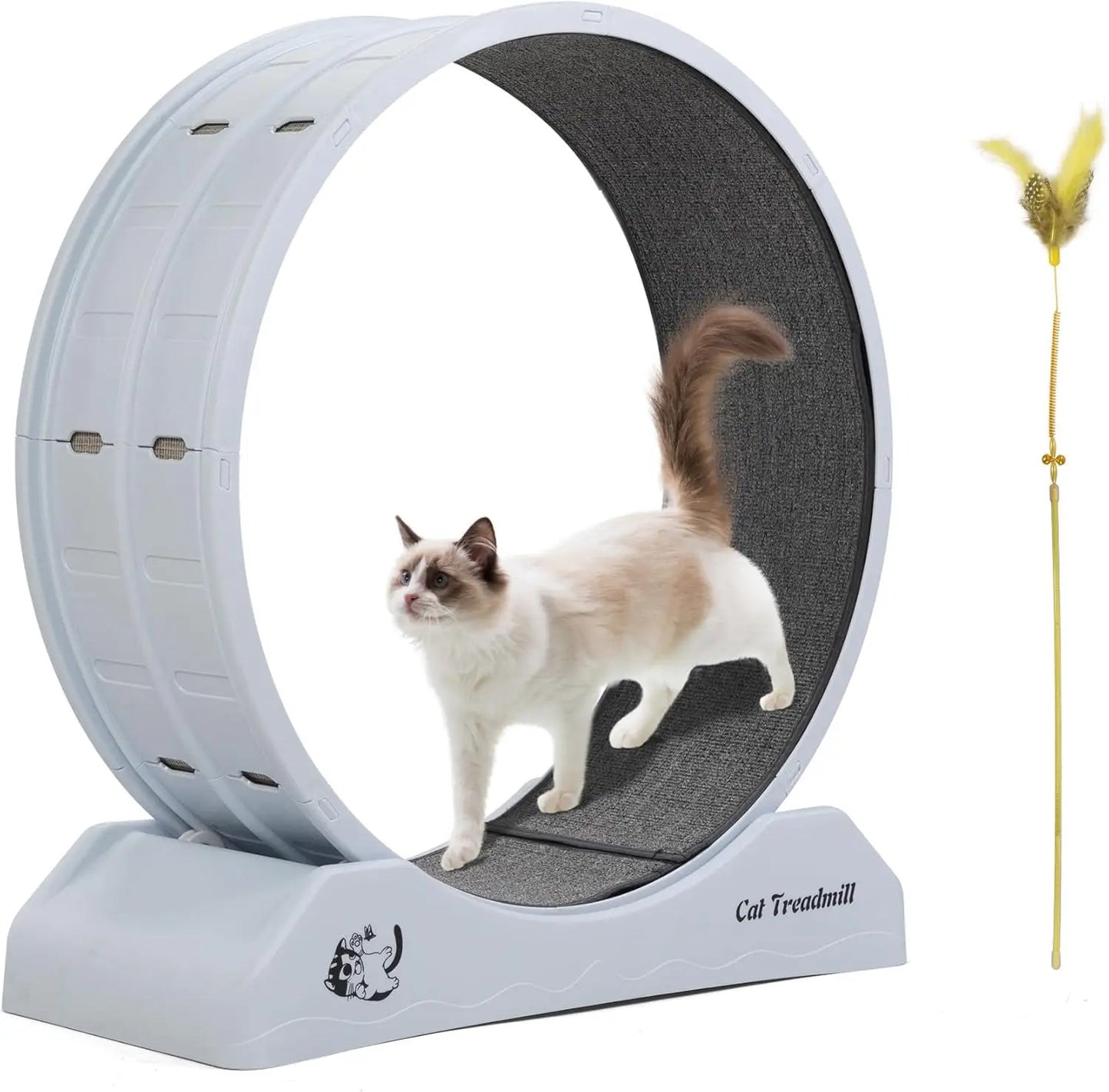 Cat Exercise Wheel.