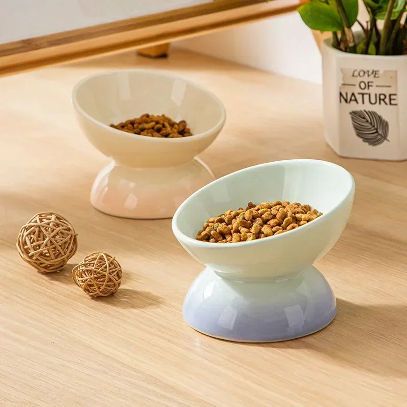 Tilted Cat Ceramic Bowl Gradient.