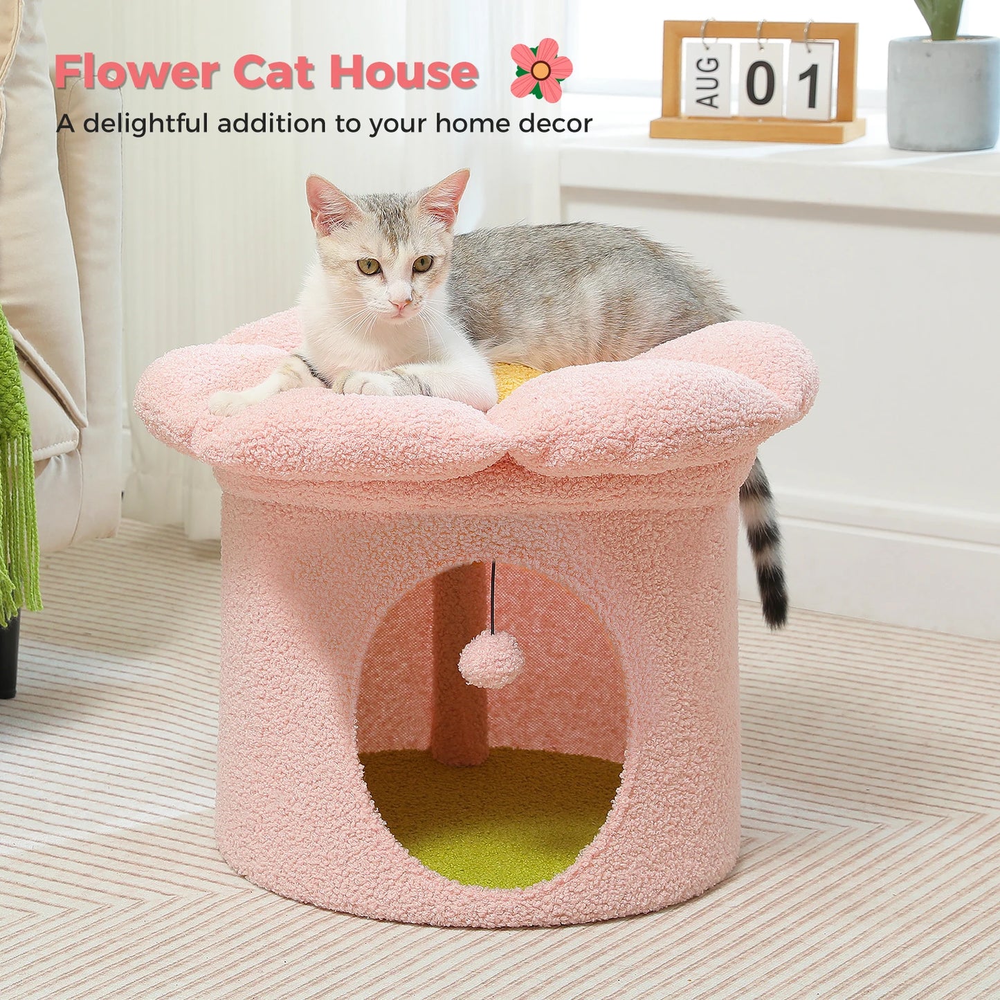 Cat Beds for Indoor Cats.