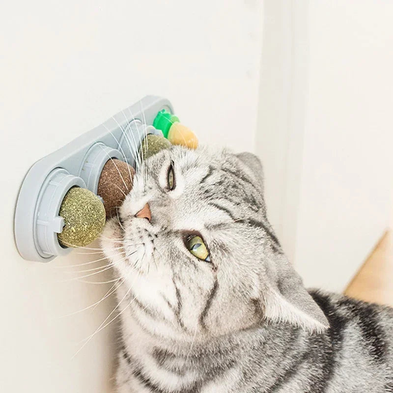 Catnip Toys.