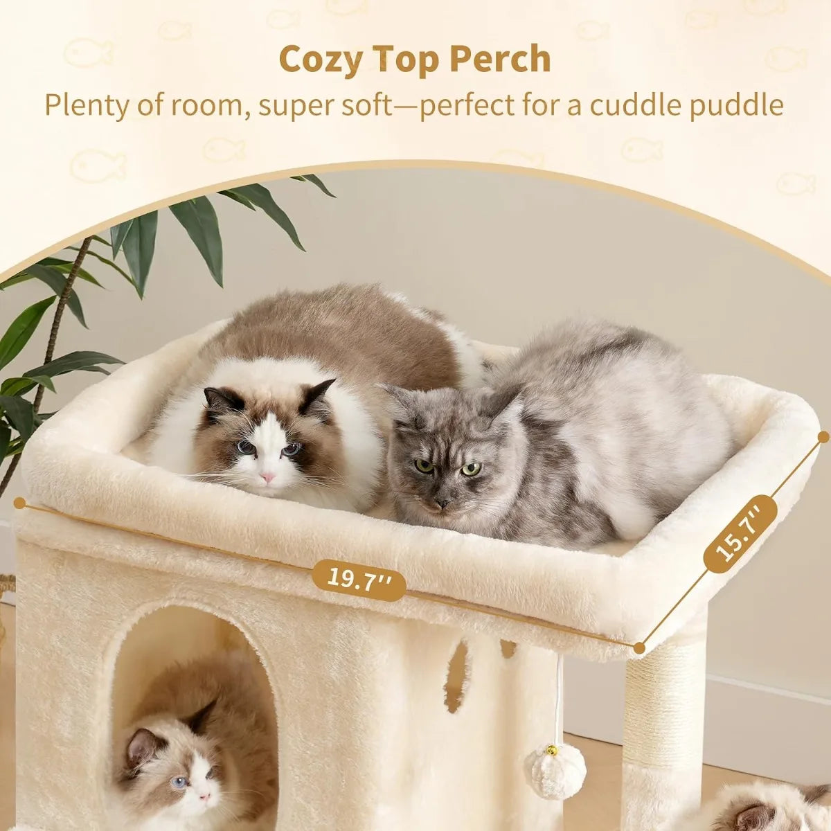 Tall Cat Tower.