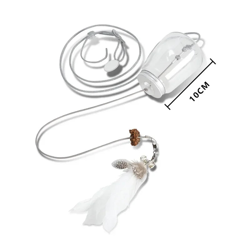 Cat Toy Interactive.
