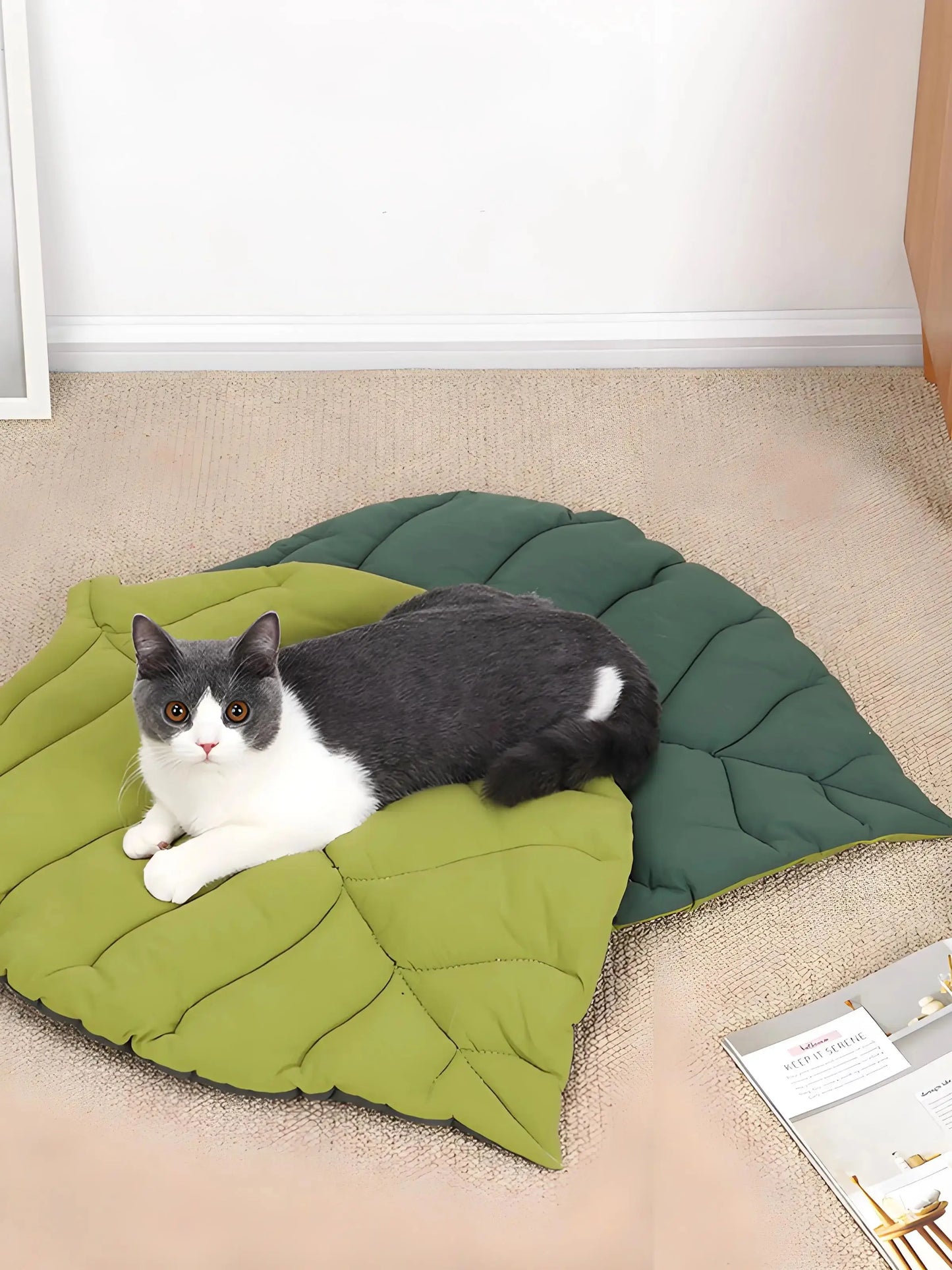 4-Season Pet Sleeping Pad.