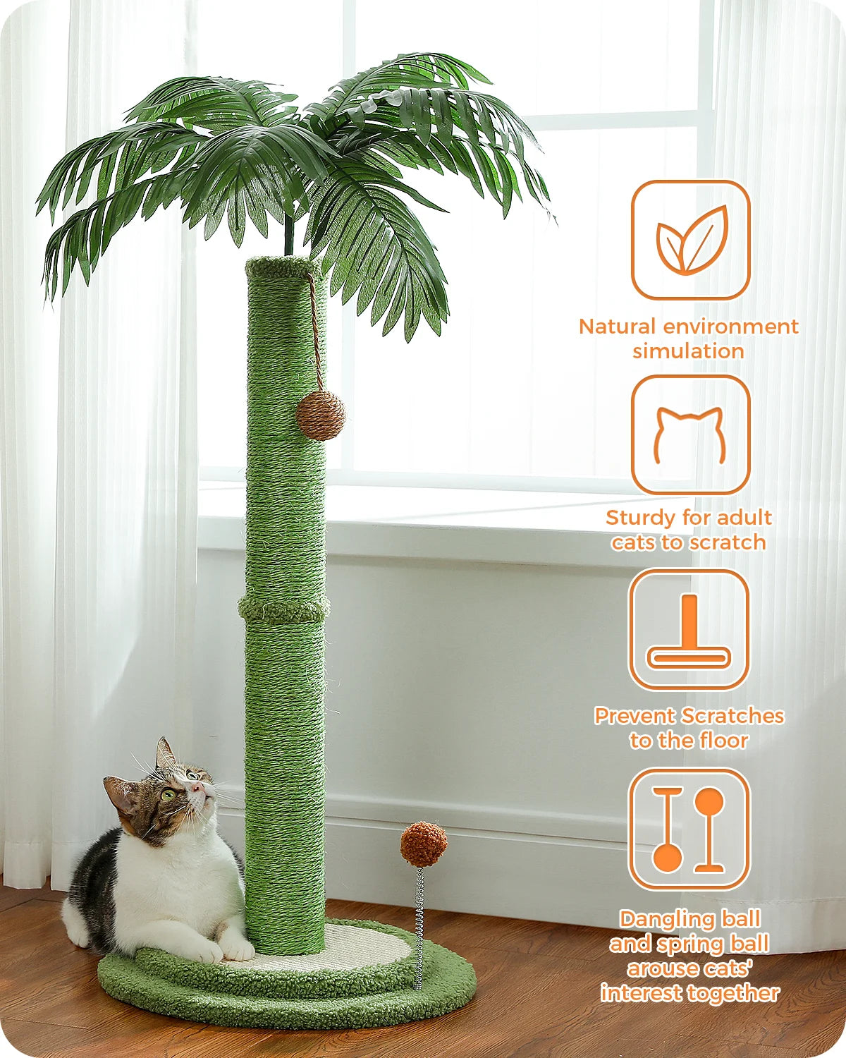 Pom Cat Scratching Post.