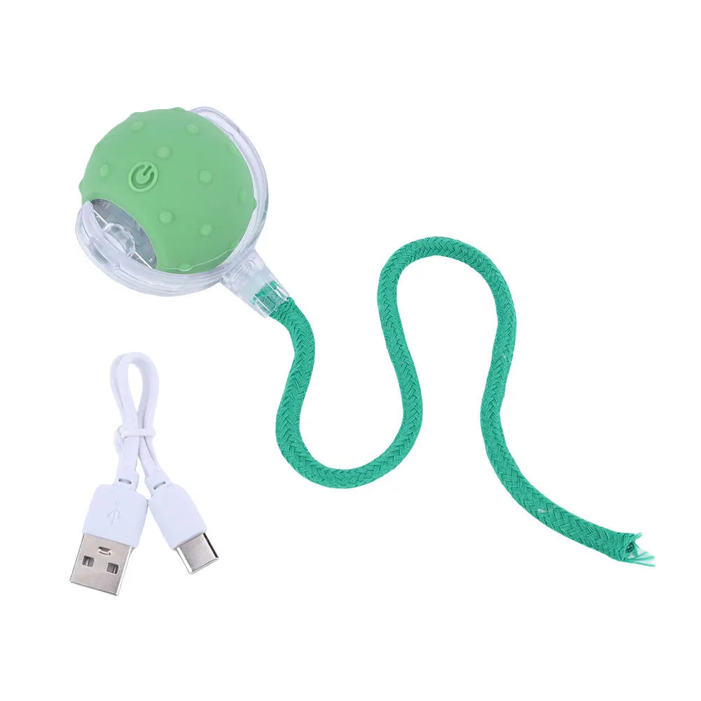 Cat Interactive Ball Toys.