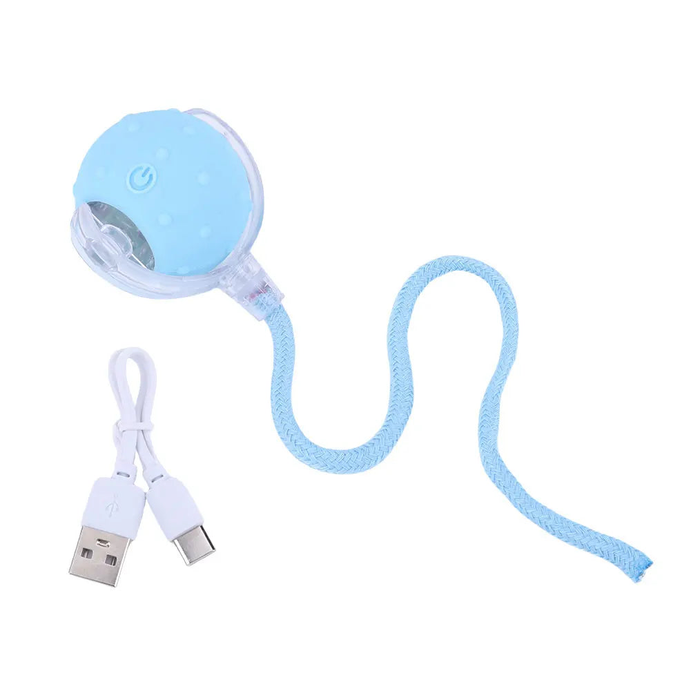 Cat Interactive Ball Toys.