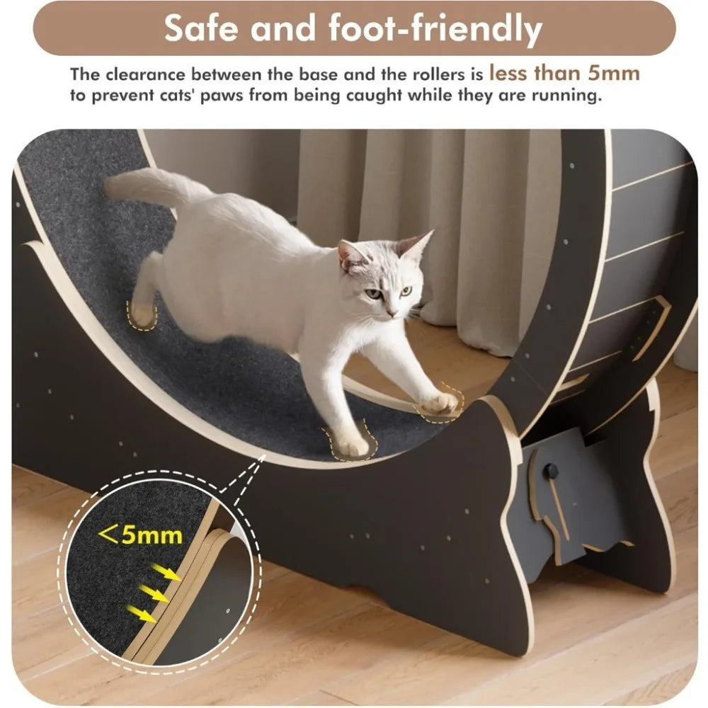 Cat Exercise Wheel.