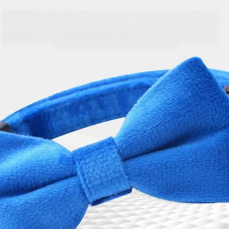 Adjustable Cat Bow Collar.