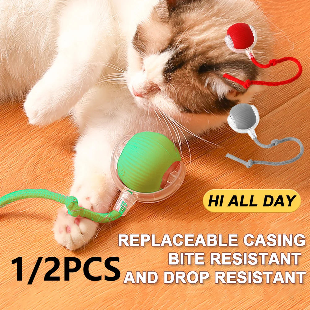 Cat Interactive Ball Toy.