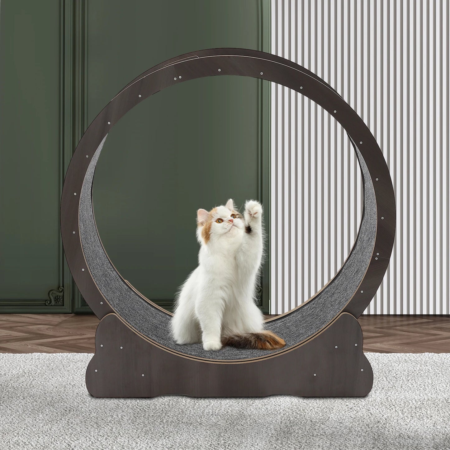 Cat Exercise Wheel Treadmill.