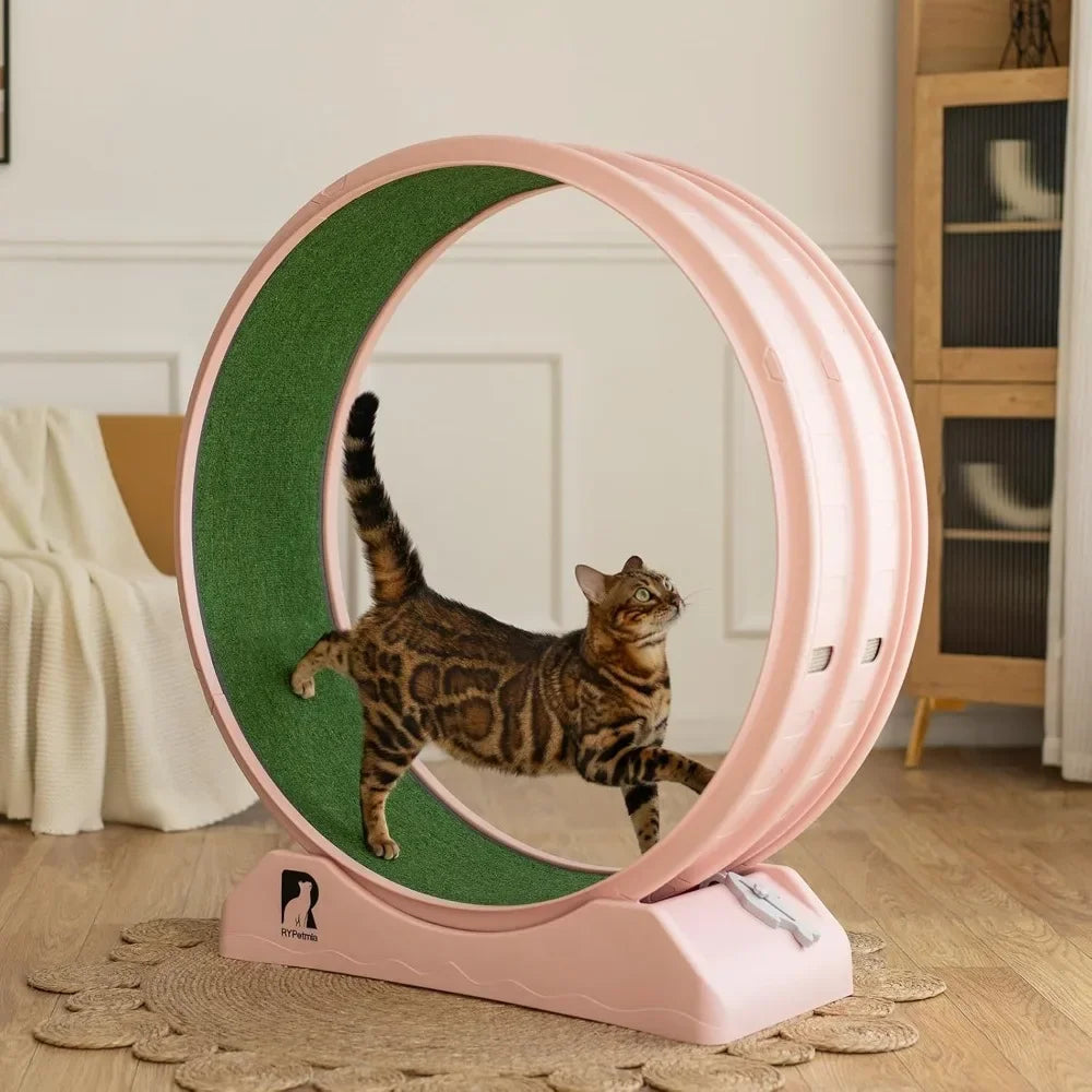 Cat Exercise Wheel.