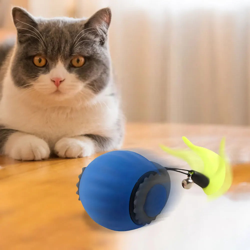 Cat Interactive Ball Toys.