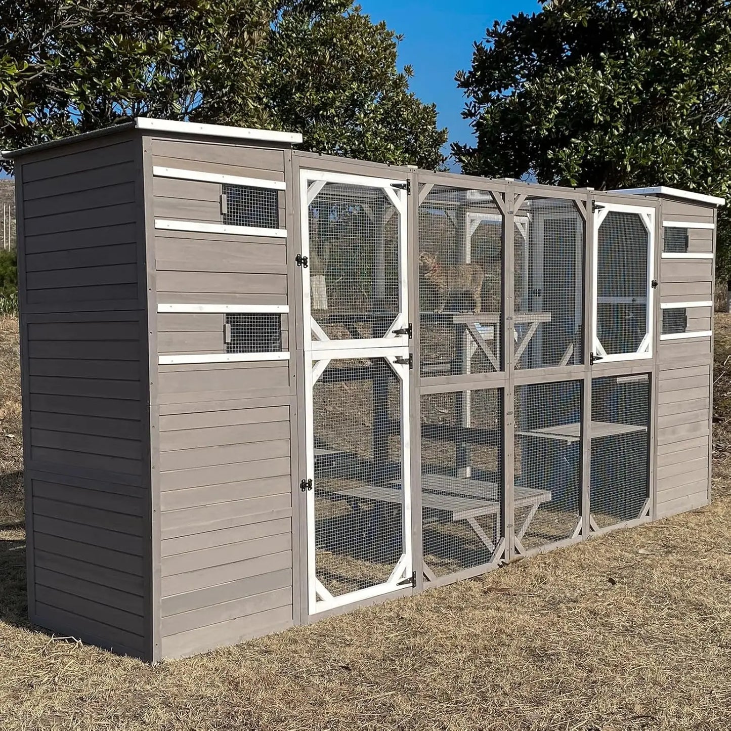 Outdoor Cat Cage.