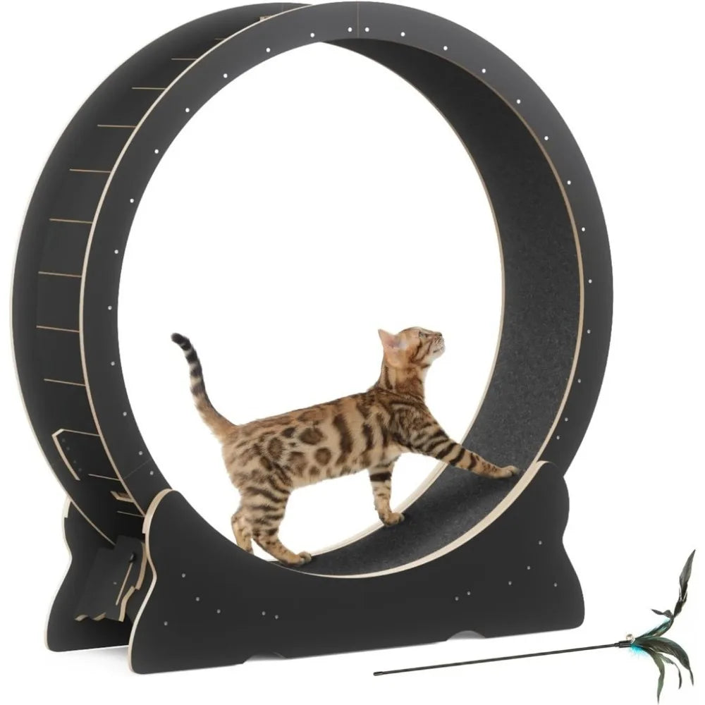 Cat Exercise Wheel.