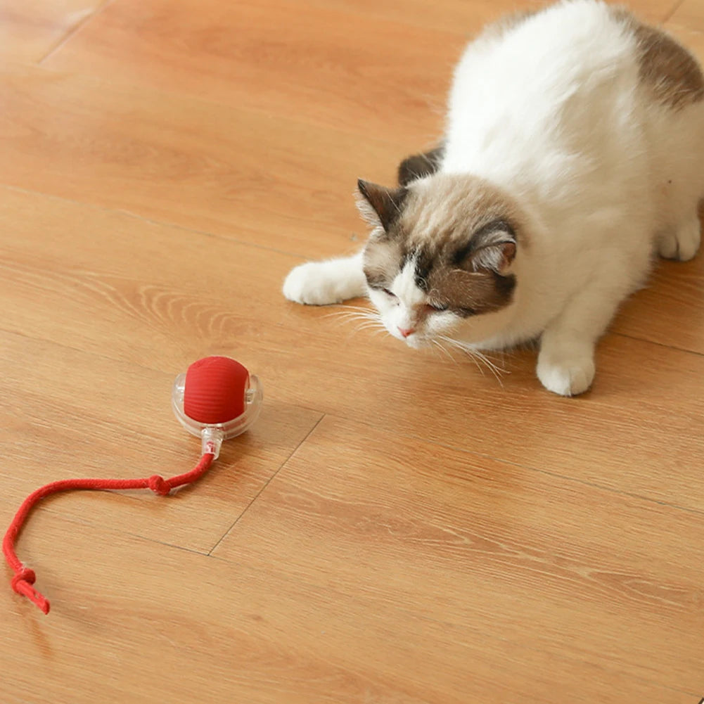 Interactive Cat Ball Toys.
