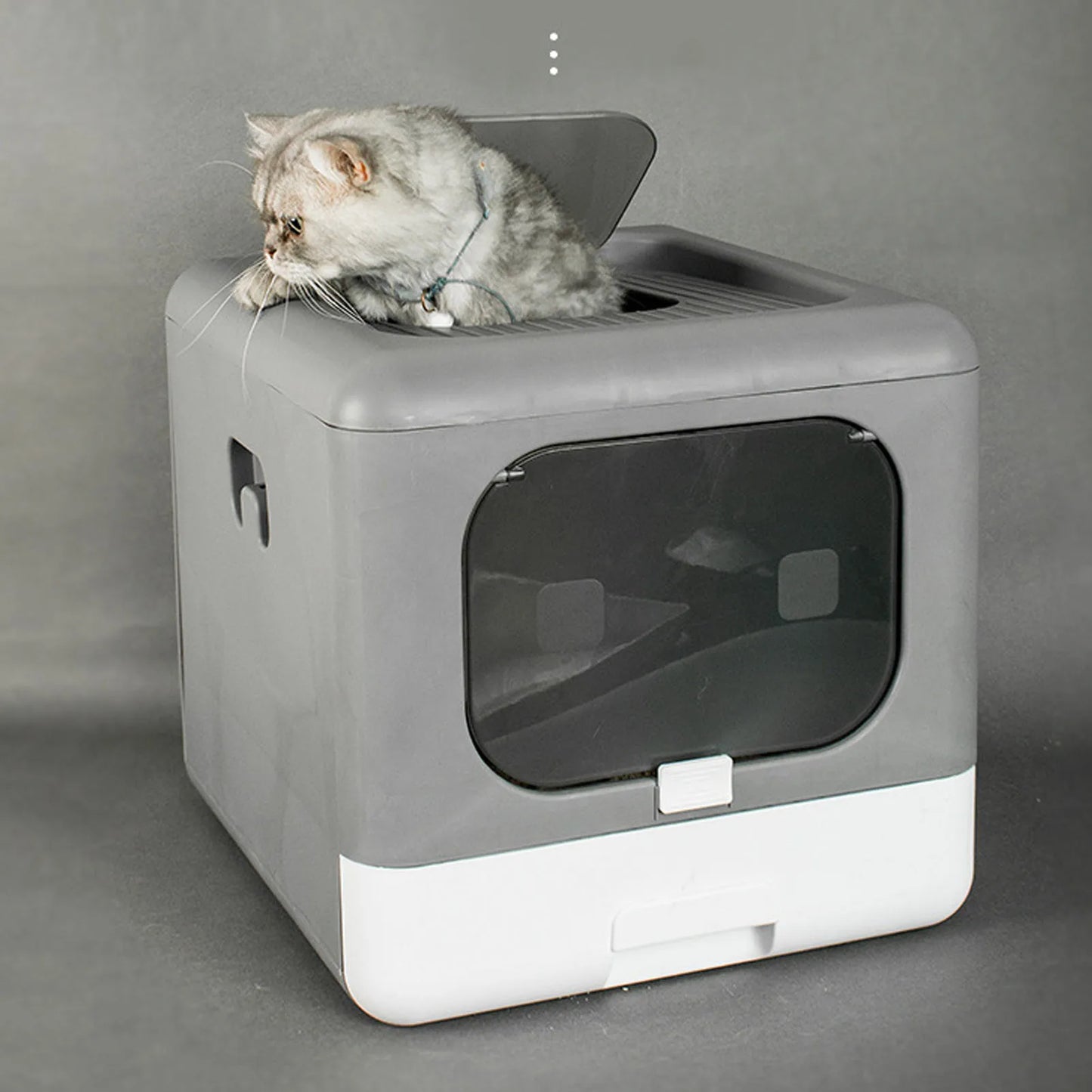 Cat Litter Box.