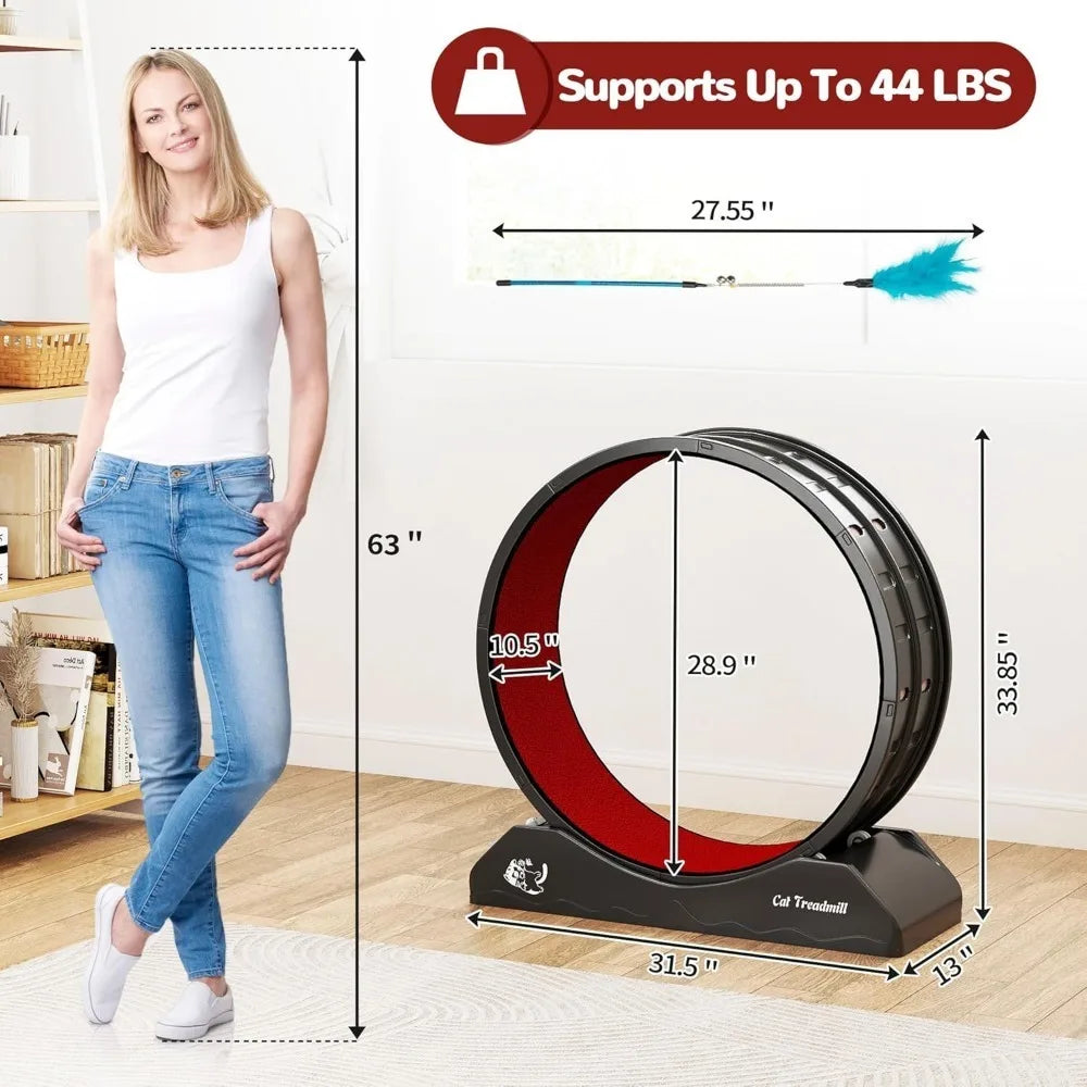 Cat Exercise Wheel.