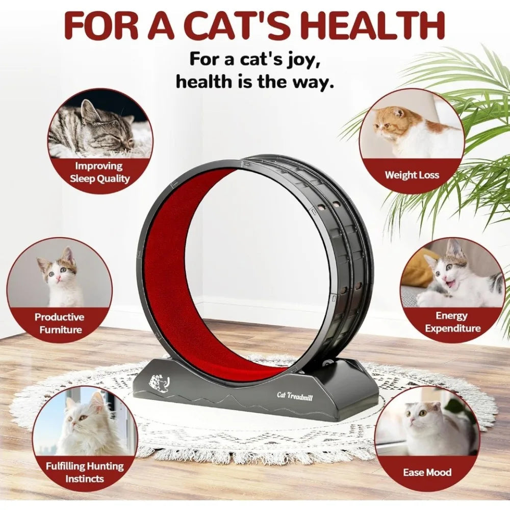 Cat Exercise Wheel.