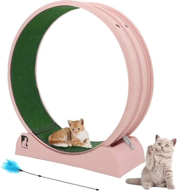 Cat Exercise Wheel.