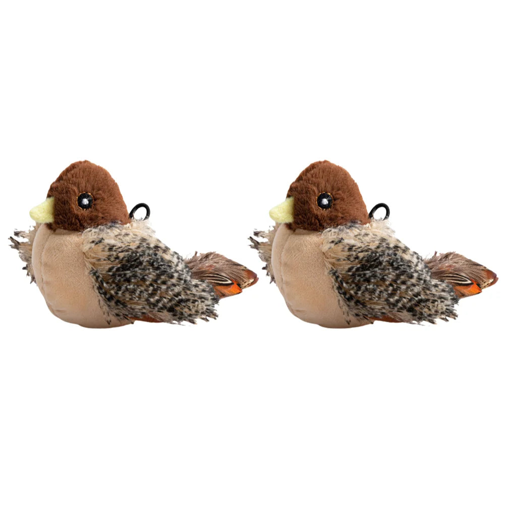 Flapping Bird Cat Toy.