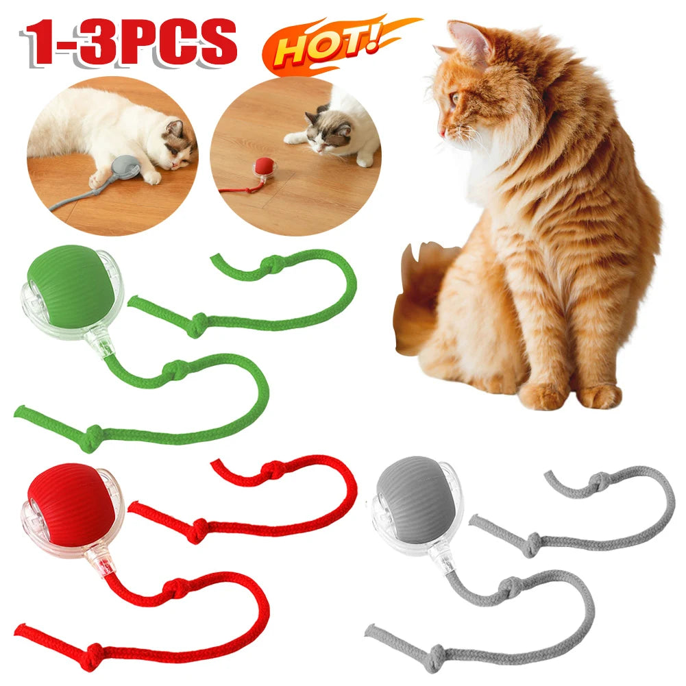 Interactive Cat Ball Toys.