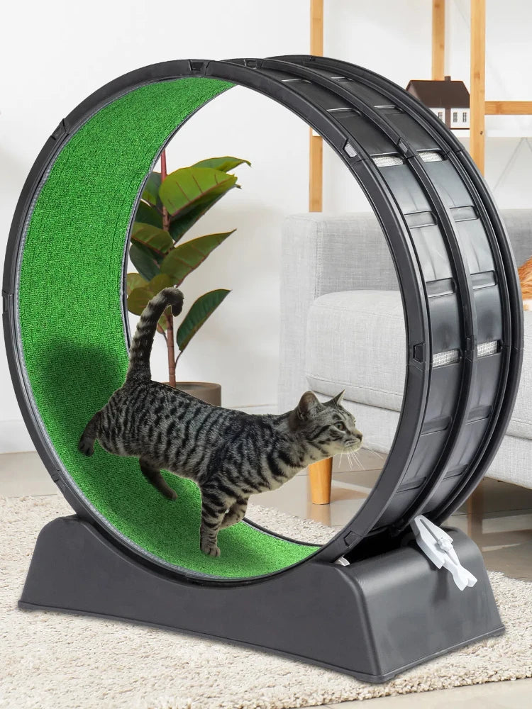 Cat Exercise Wheel.
