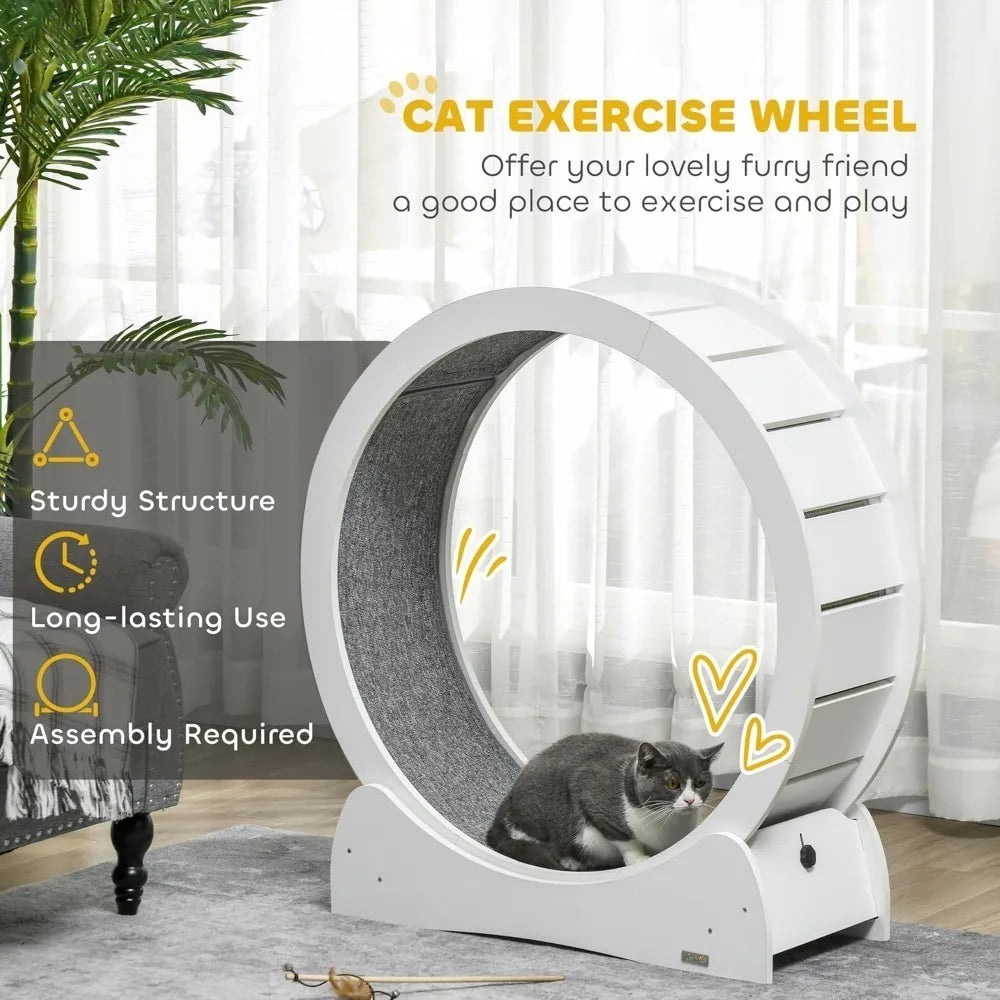 Cat Wheel.